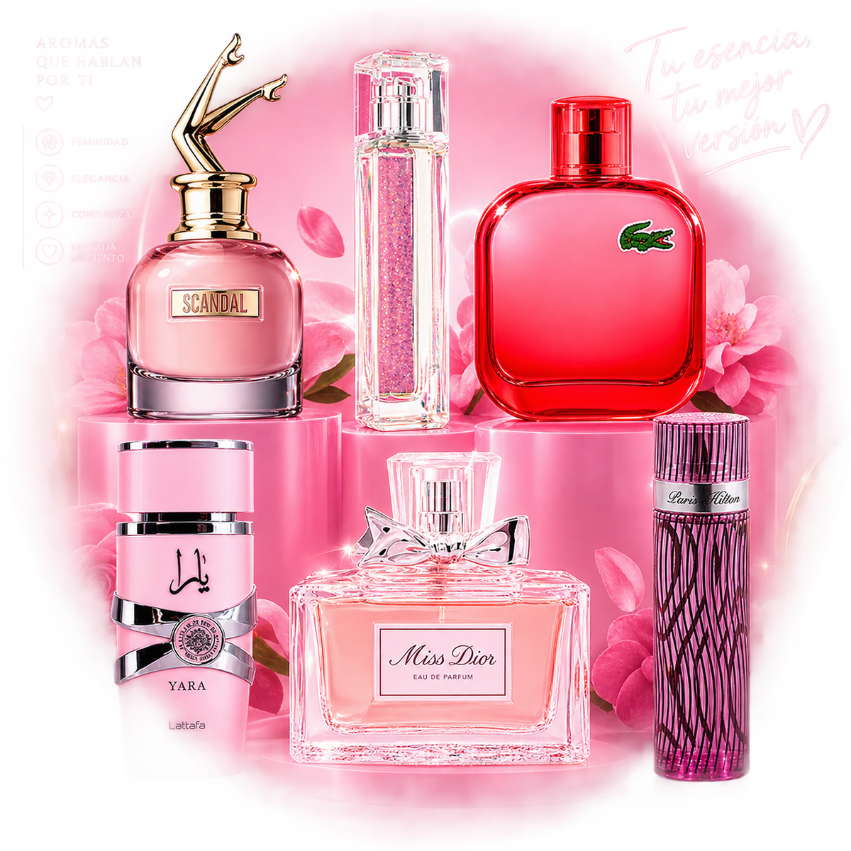 Kit 6 Perfumes Femeninos – Set de Fragancias para Mujer | Creativita