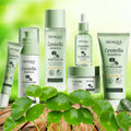 Set Bioaqua Centella Asiática 6 Piezas - Kit Facial Calmante y Reparador | Creativita