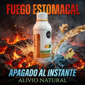 LITEPLEX Concentrado Digestivo – Té Verde, Jengibre y Limón