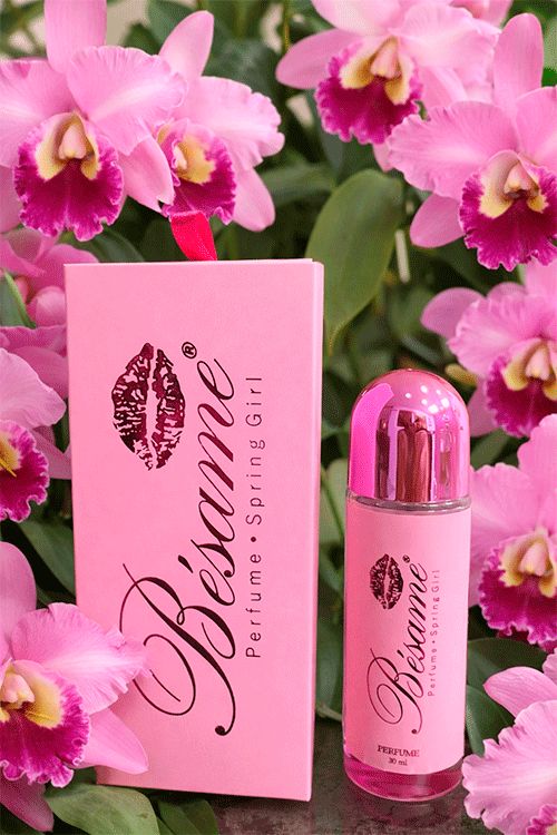 Mastershop Product Image